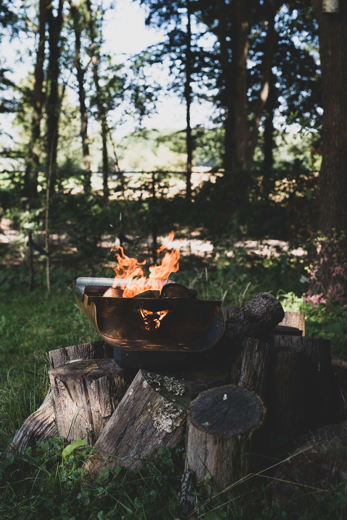 trunq barbecue
