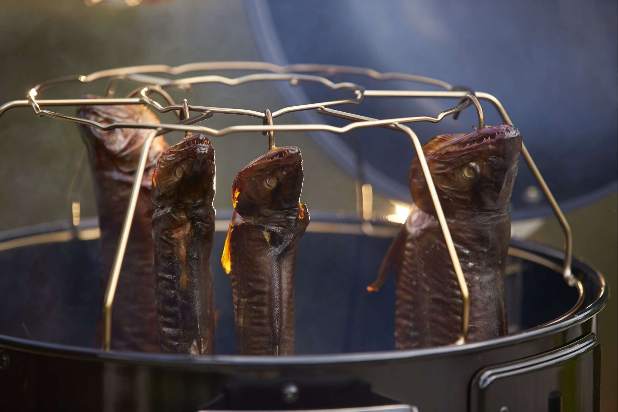 barbecue houtskool no.1 f50 s smoker
