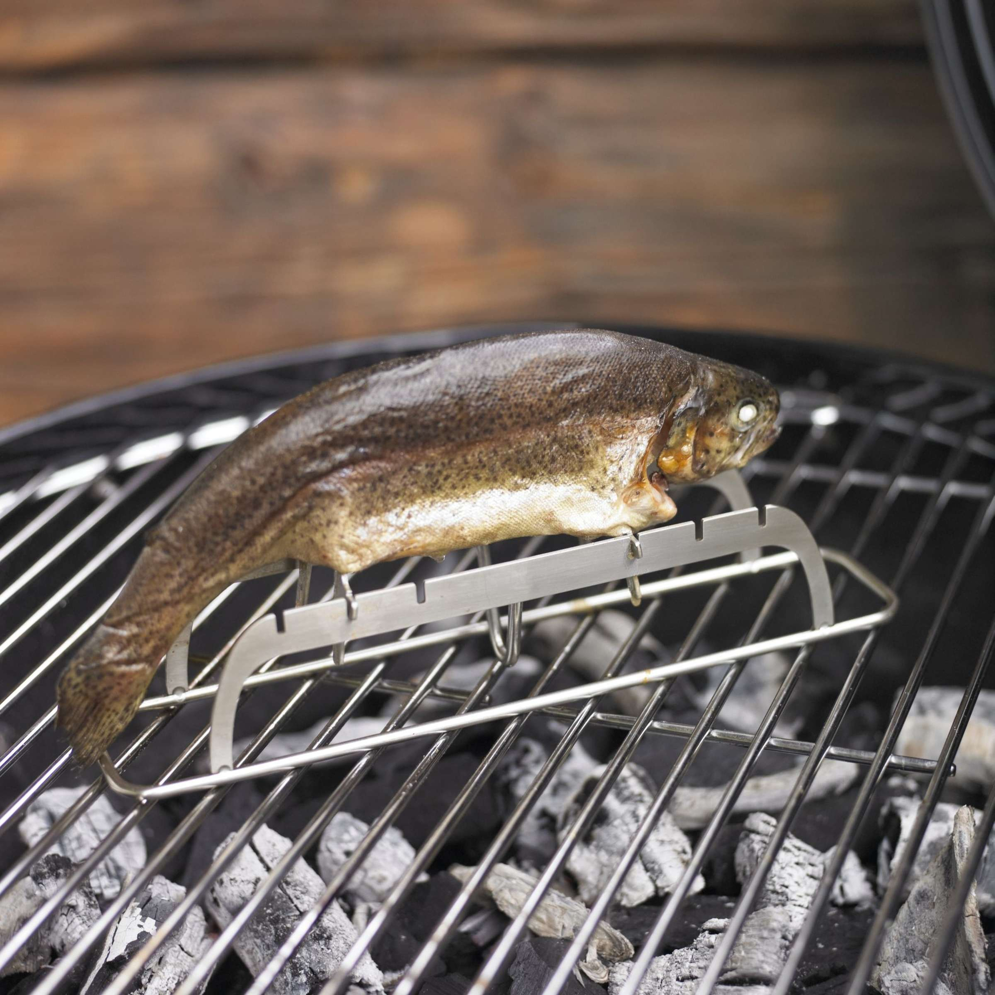 bbq accessoire visrek
