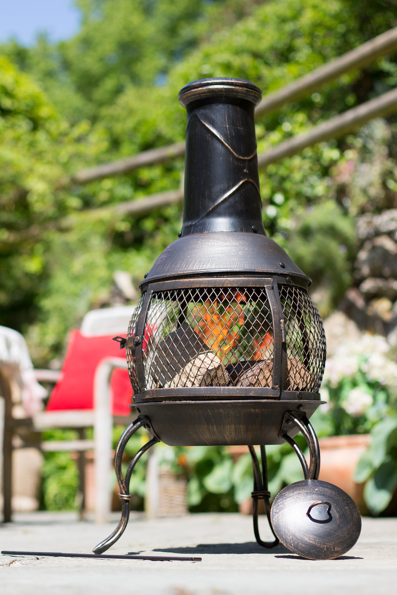 chimenea leon m