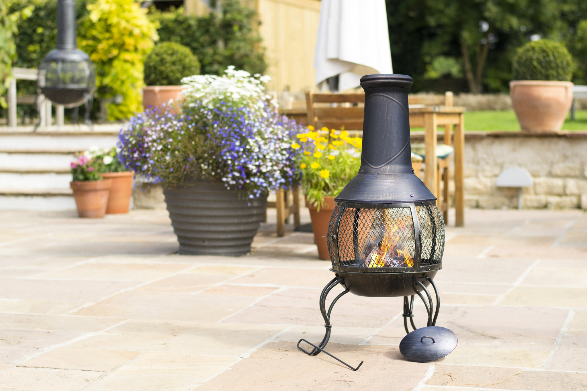 chimenea leon m